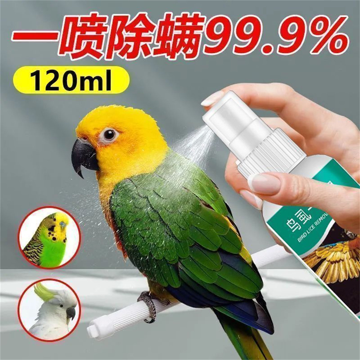 鸟用驱虫虫喷剂虱净羽虱跳蚤中小