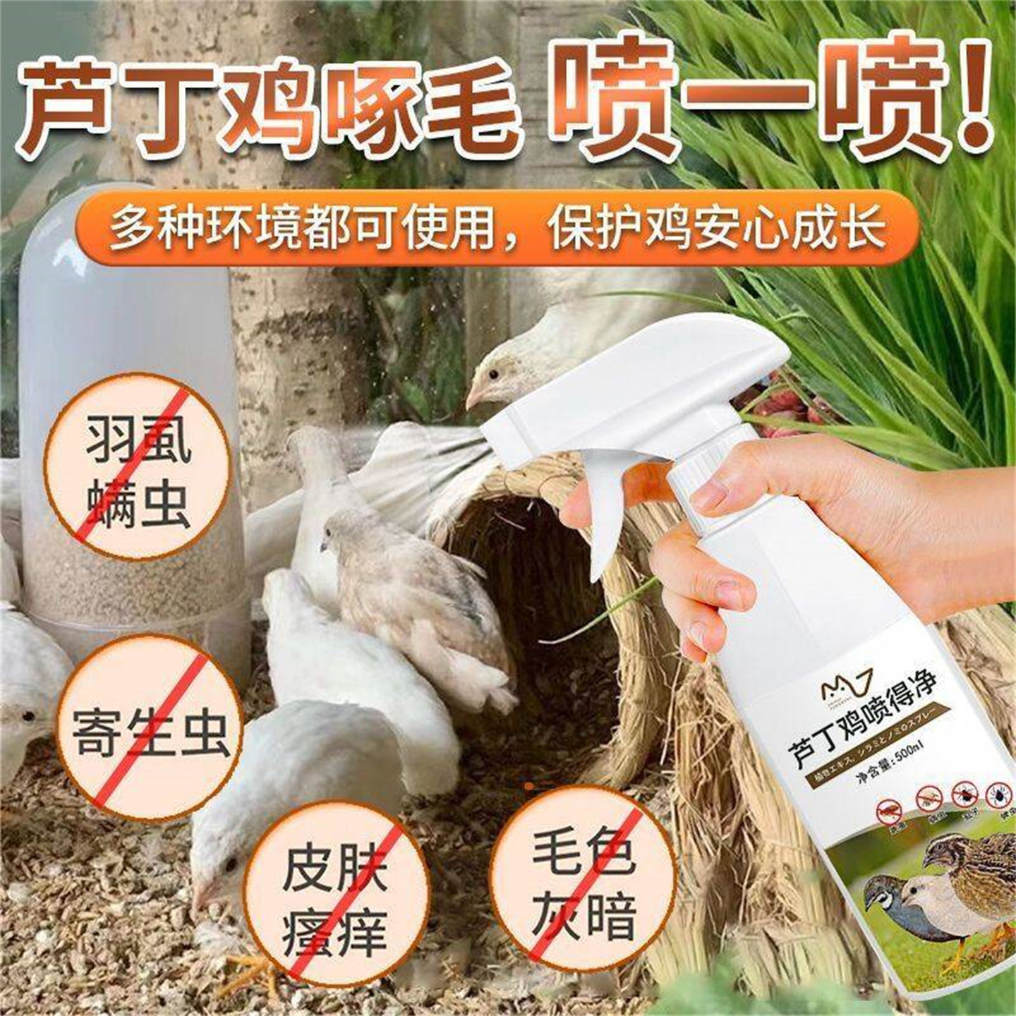 鸡虱子药芦丁鸡用除臭防掉毛喷雾