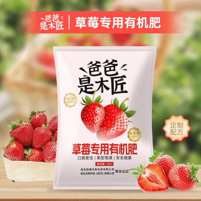 【爸爸是木匠】草莓专用有机肥室内盆栽草莓苗肥料坐果增甜园艺肥