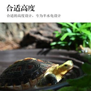 乌龟泡澡盆黄缘龟食盆水盆蜥蜴陆龟半水龟水族爬宠造景专用洗澡盆