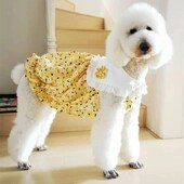 宠物狗狗连衣裙子图纸花苞型裙纸样比熊泰迪法斗巨贵diy裙子模板