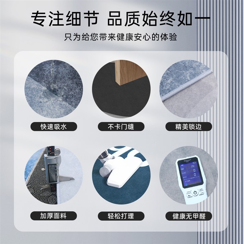 入户门地垫2024新款门口进门垫子家用脚垫玄关高级地毯防滑入门垫