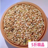 5斤新无玉米精品鸽子粮食营养饲料鸟食信鸽观赏鸽肉鸽幼鸽成鸽粮