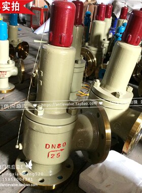 AH42F-25C-DN25/32/40立式液相安全回流阀 AH42F封闭式安全回流阀