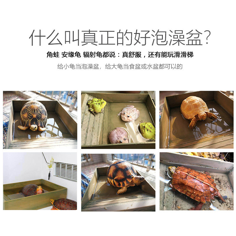陆龟泡澡盆乌龟蜥蜴爬虫阶梯式多功能水盆苏卡黄缘超大号泡水盆