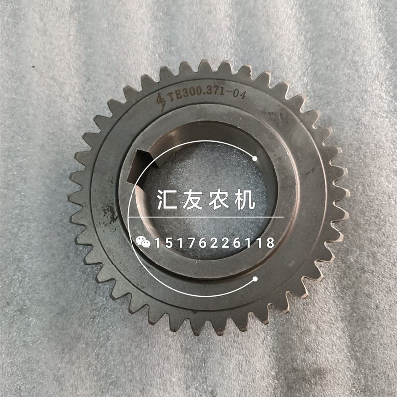 雷沃欧豹TE320 324 大棚王M504 604 704L-E 变速箱 一档从动齿轮