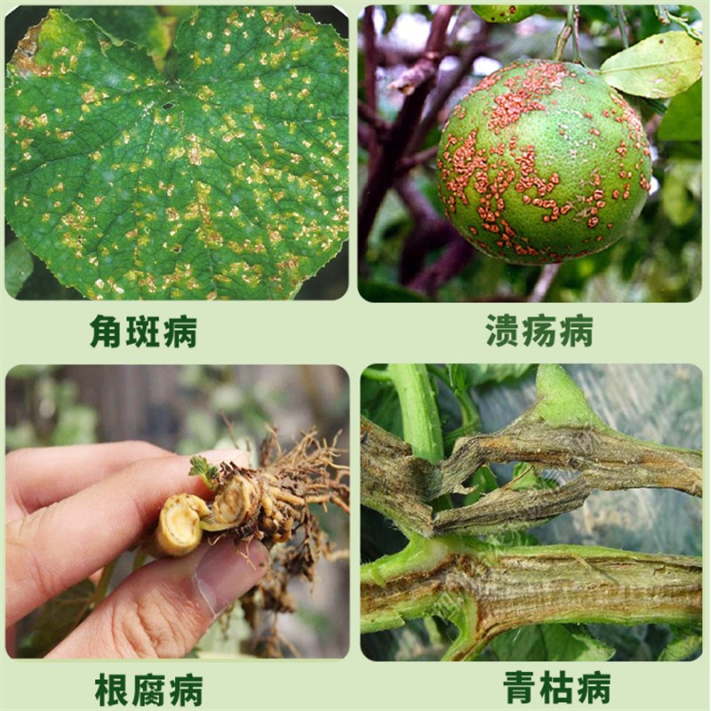 1000亿枯草芽孢杆菌肥水产农用微生物菌剂大包装桶装菌肥水溶肥料