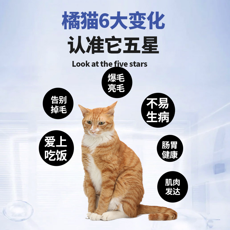橘猫专用天然无谷猫粮它五星成幼主食干粮黄桔色猫美毛增肥营养