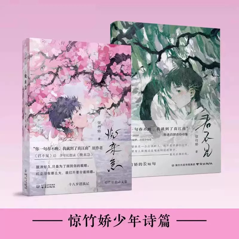 【认准正版】晚来急君不见两本惊竹娇少年诗篇你一句春不晚我就到了真江南诗歌青春文学实体书后青春二重唱138首诗10篇散文2幅插画