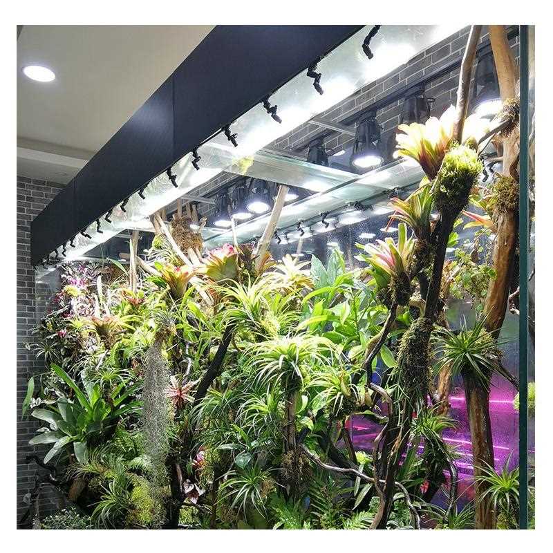 直销新款led雨林造景灯轨道射灯水陆水草花卉植物生长灯全光谱苔
