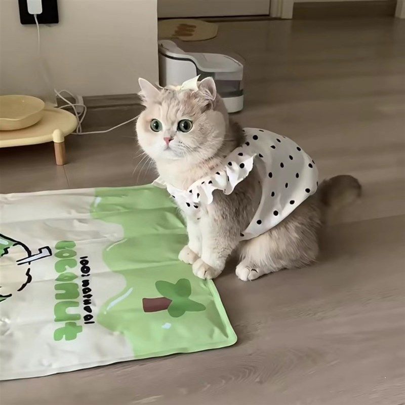 连衣裙风波猫咪可爱背心幼犬猫咪泰迪宠物比熊衣服约克夏雪纳瑞,宠物/宠物食品及用品,猫宠物服装/雨衣（新）,淘宝优惠券,粉丝福利购,淘宝优惠卷