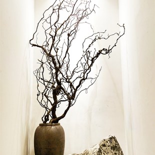 龙枣枝干支盘龙枝装 摆放 饰树枝插花天然弯曲枣木造型客厅花艺软装