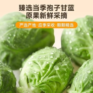 狗狗零食孢子甘蓝冻干蔬菜干拌粮大中小型犬磨牙训练奖励宠物零食
