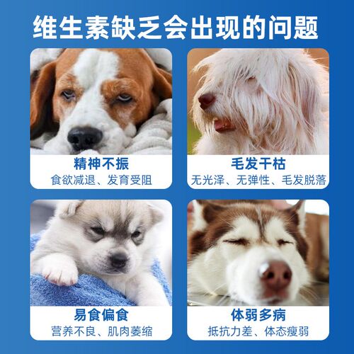 猫用复合维生素钙片猫咪多种维生素B防掉毛狗狗宠物营养补充剂
