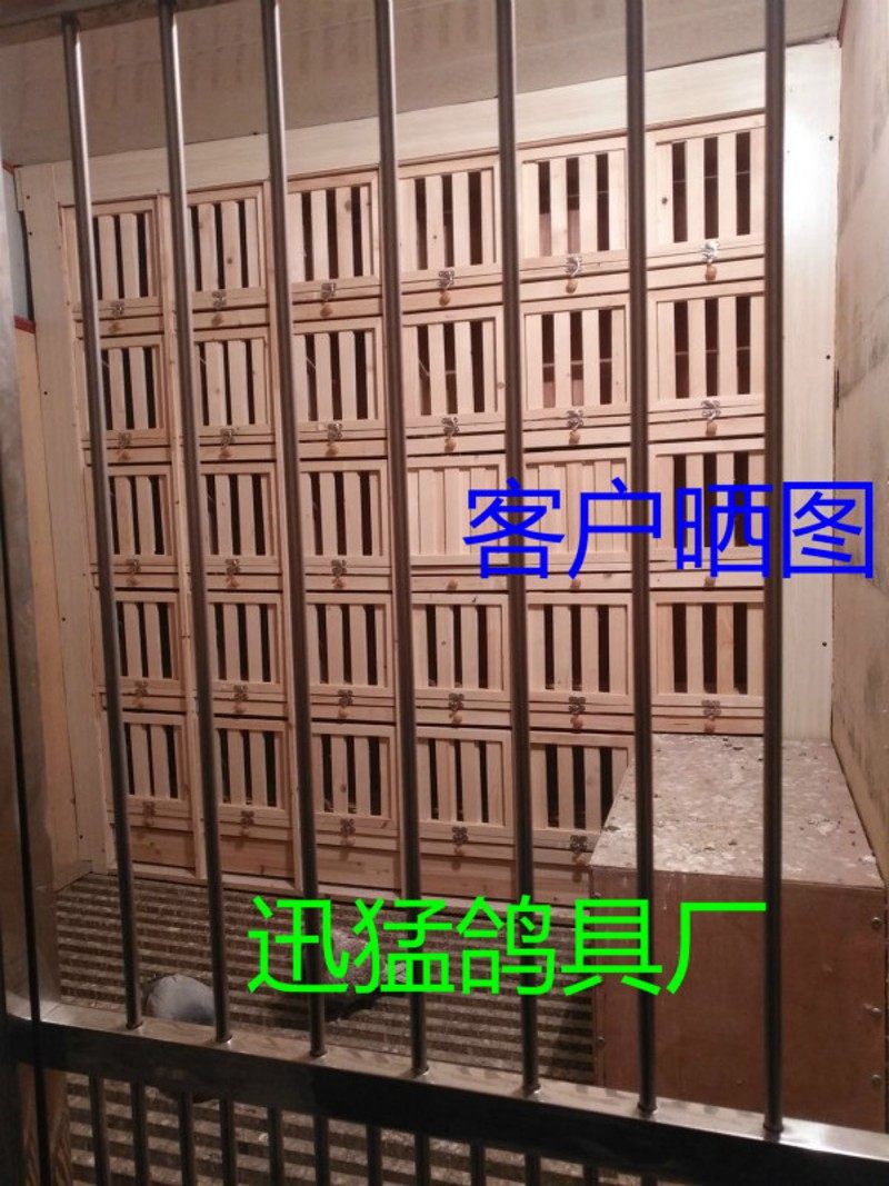 避光巢箱/ 特比巢箱/可调节巢箱 赛鸽组合巢箱/鸽子笼/鸽笼/ 鸽具