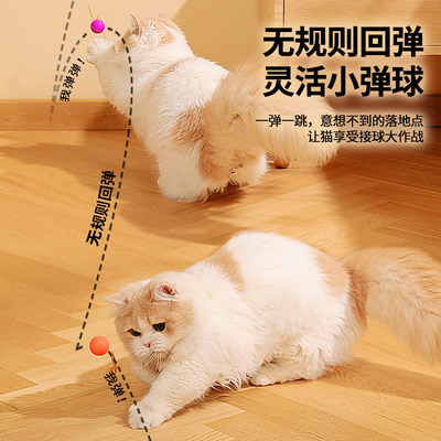 猫咪玩具弹力球自嗨解闷宠物小猫的玩具球耐咬磨牙棒逗猫神器用品