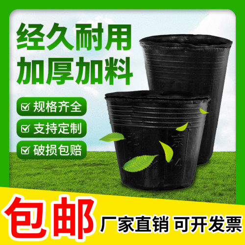 营养钵育苗杯营养杯塑料花盆黑色加厚营养育苗袋大号一次性育苗盆