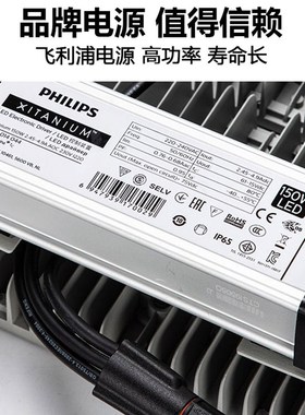 led模组高杆灯200w100瓦150W户外球场投光灯泛光工业防爆超亮广场