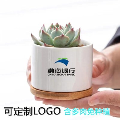 印制LOGO花盆定制带木托仙人球多肉植物室内公司活动绿植盆栽礼品
