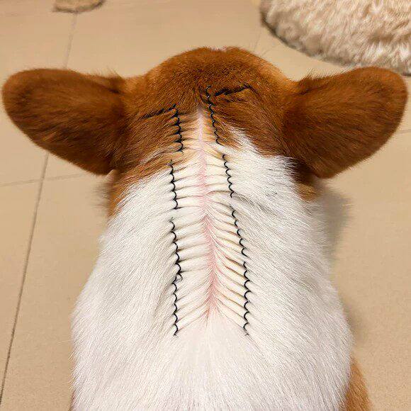 猫狗驱虫隐形碎发夹抓夹神器