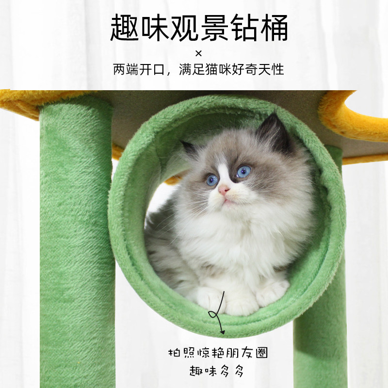 热带雨林猫爬架猫树猫窝一体磨爪柱幼猫专用跳台猫架子不占地