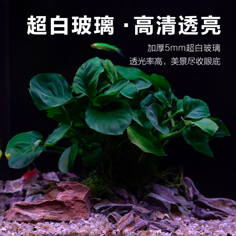 鱼缸客厅小型家用生态鱼缸新款超白玻璃造景全套水族箱桌面斗鱼缸