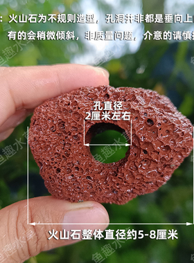 水草固定种植红色火山石水草定植环鱼缸造景装饰水草定植水草底座