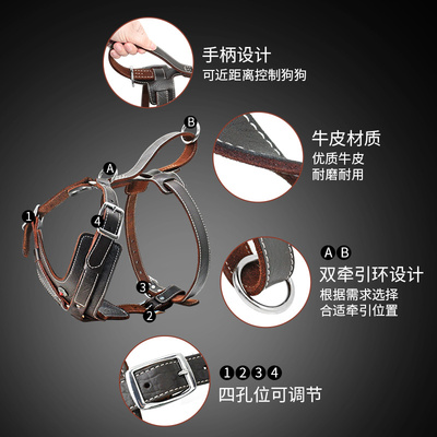 新品真牛皮胸背带马犬牵引绳专用项圈德牧大型犬杜宾罗威纳比特犬