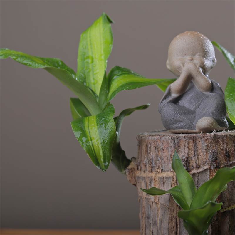 巴西木专用托盘陶瓷地垫盆栽桌面陶瓷盆器皿多肉花盆粗陶室内现代