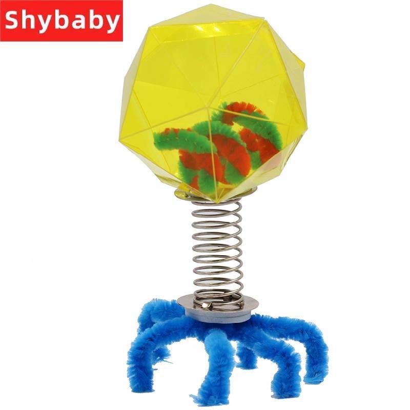 新品求知教育小学DIY手工科技小制作小发明材料噬菌体模型科学小