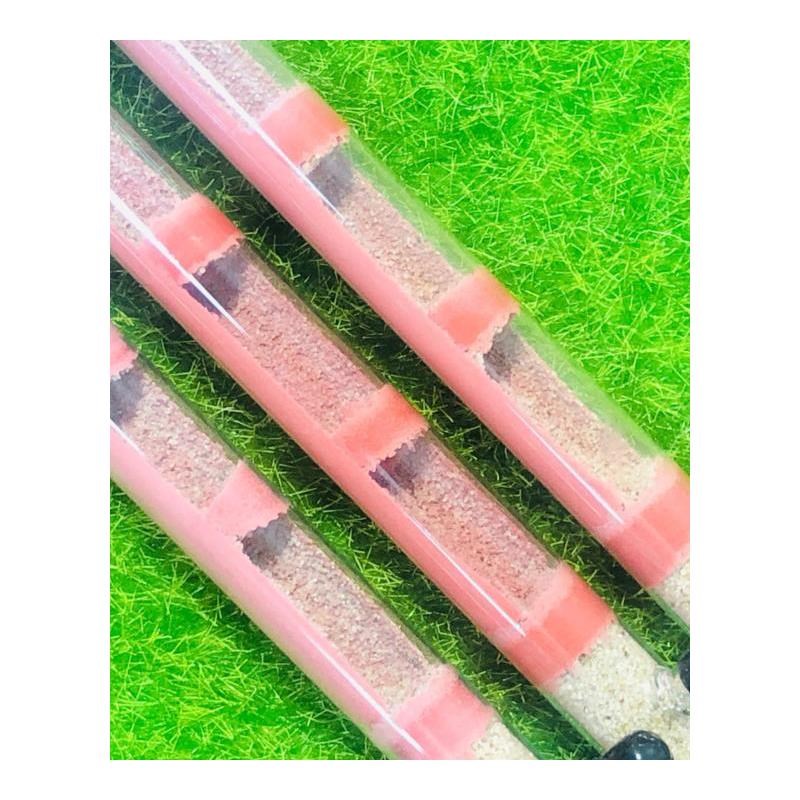 Easy moisturing  sand DIY Ecological Ant Farm Bamboo Test Tu