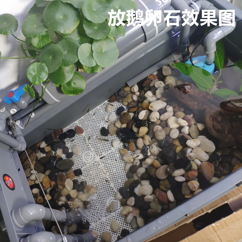 养龟箱底滤板过滤塑料垫网龟缸鱼缸隔板周转箱塑料箱垫底板锦鲤