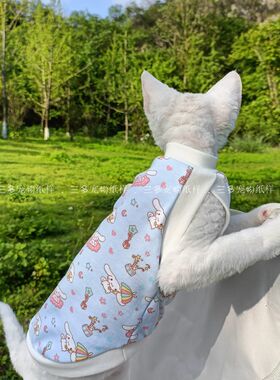 宠物猫狗套头吊带背心图纸猫咪泰迪比熊法斗金毛夏季简易衣服模板