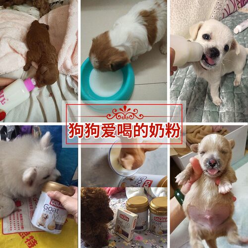 狗狗专用羊奶粉 谷登狗奶粉2罐装 含益生菌狗奶粉 幼犬成犬营养补