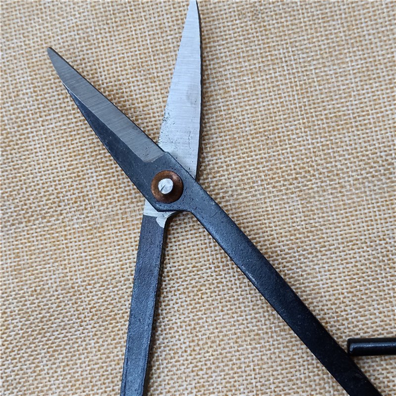 叶芽剪芽剪修剪枝条高碳钢法兰兰花盆景修剪造型