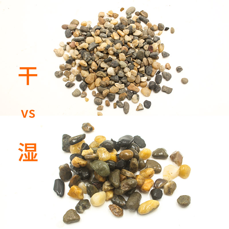 溪流石底砂鱼缸原生南美溪流缸造景石底沙水族乌龟缸天然生态河沙