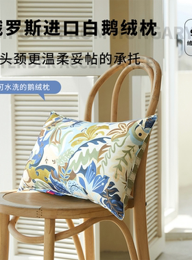 Olivier Desforges吉安娜/阿玛利亚进口95%白鹅绒枕