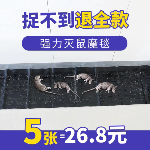 老鼠胶强力家用沾鼠粘鼠板yao贴正品药克星抓粘灭鼠捕鼠灭鼠颗粒