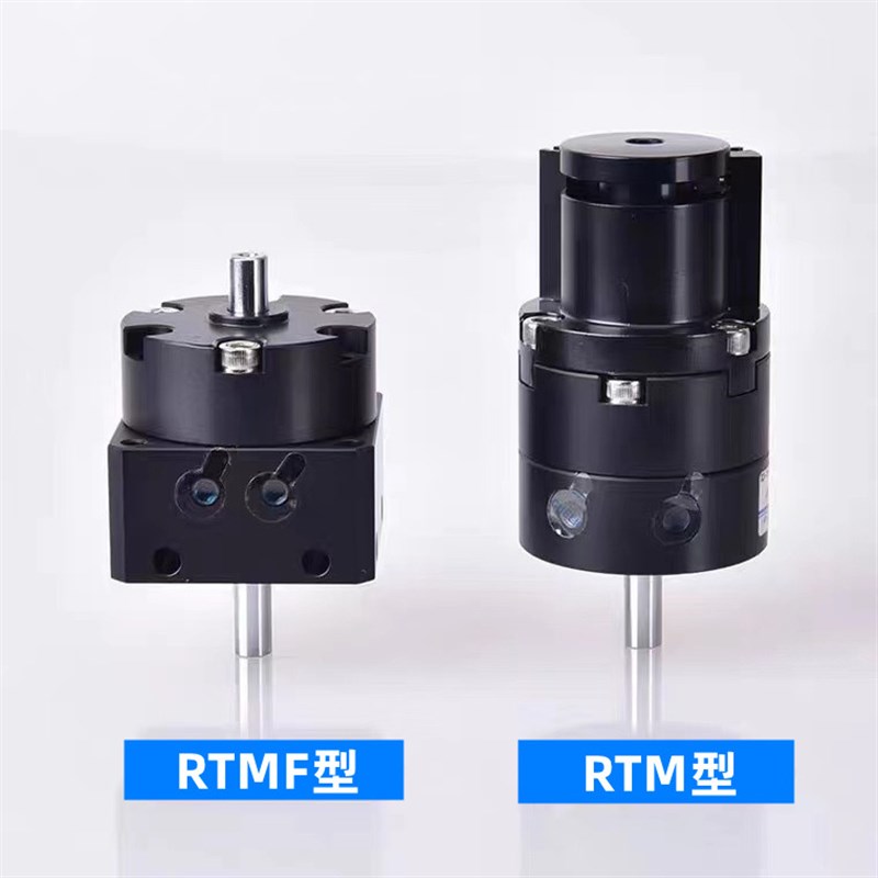 气立可型叶片旋转气缸RTM RTMF10*15*20*30*40X90X180X270-L-C2-S
