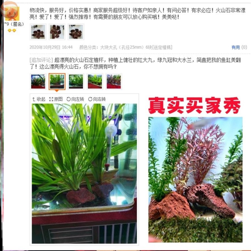 水草固定神器鱼缸花盆定植环沉底环底座固定盆造景装饰种植环盆
