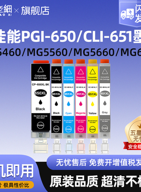 适用佳能PGI-650/CLI-651XL墨盒PIXMA MG7160 MG7560 6360 IX6860墨盒IP7260 8760 MX926 MX726打印机墨水盒