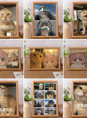 doro圆头耄耋猫猫合照哈基米可爱治愈meme哦润吉桌面摆件礼物ins
