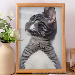 小猫故人图鸡你太美蔡徐坤小黑子ikun坤坤抽象摆件装饰挂画礼物潮