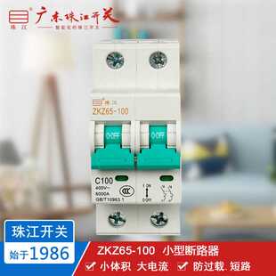 空气开关 100A 断路器 微断 二极小型 ZKZ65 广东珠江开关
