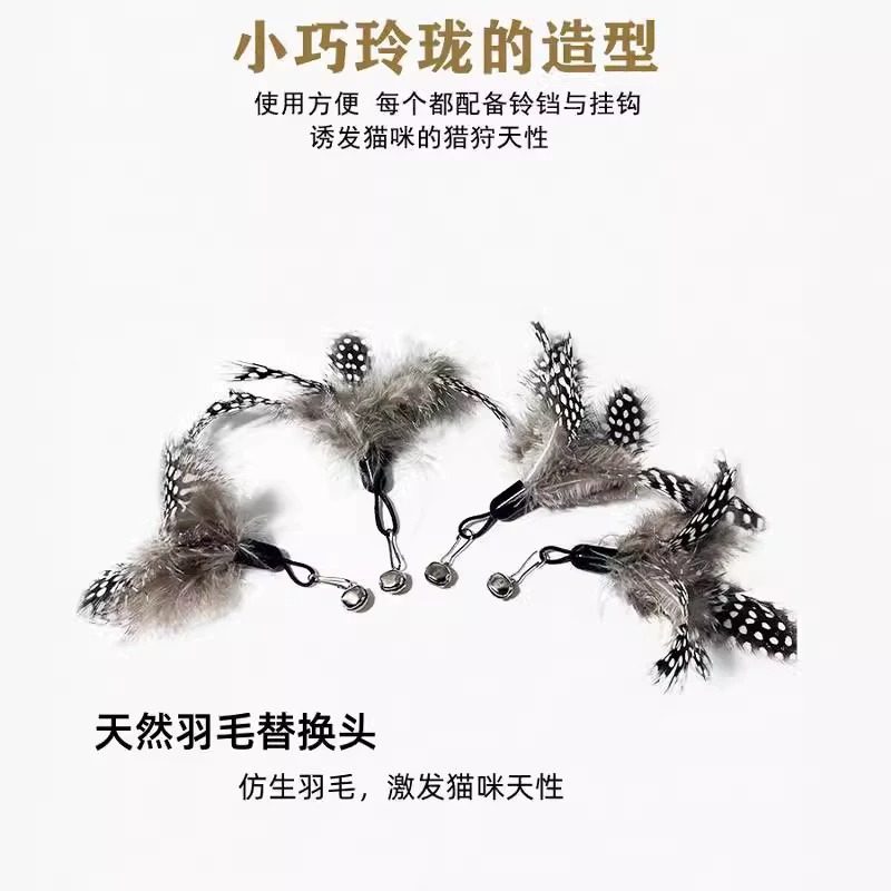 猫玩具CFA赛级逗猫棒幼猫斑点羽毛替换头耐咬猫用品猫咪玩具大全,宠物/宠物食品及用品,宠物智能玩具,淘宝优惠券,粉丝福利购,淘宝优惠卷
