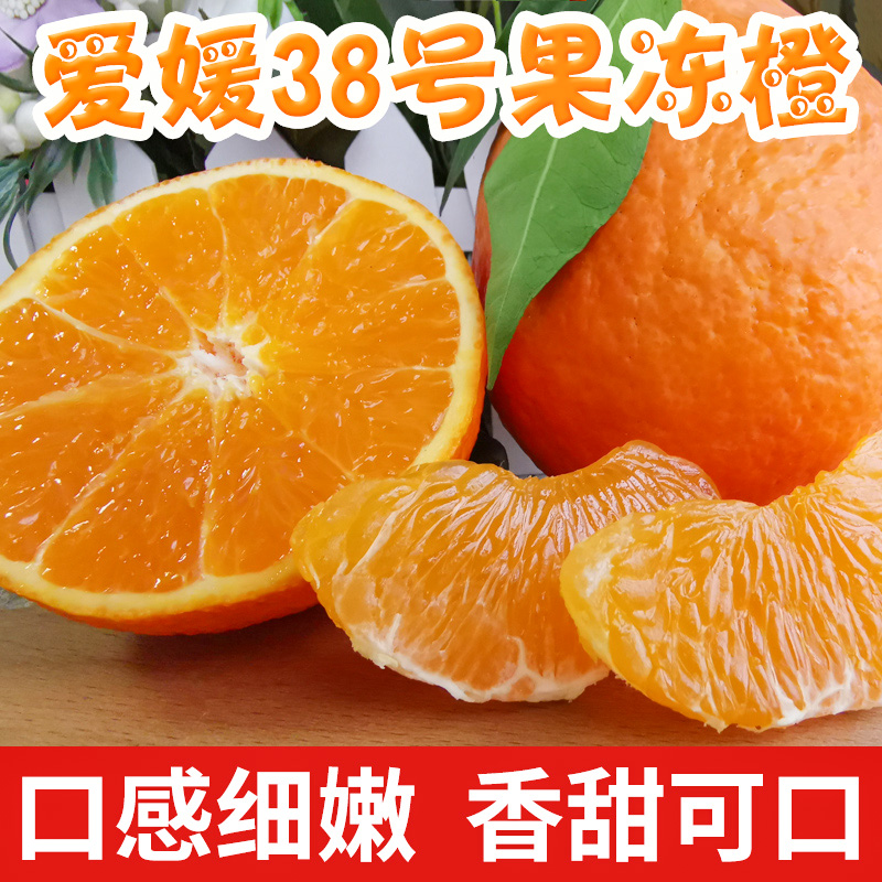四川爱媛38号果冻橙新鲜橙子