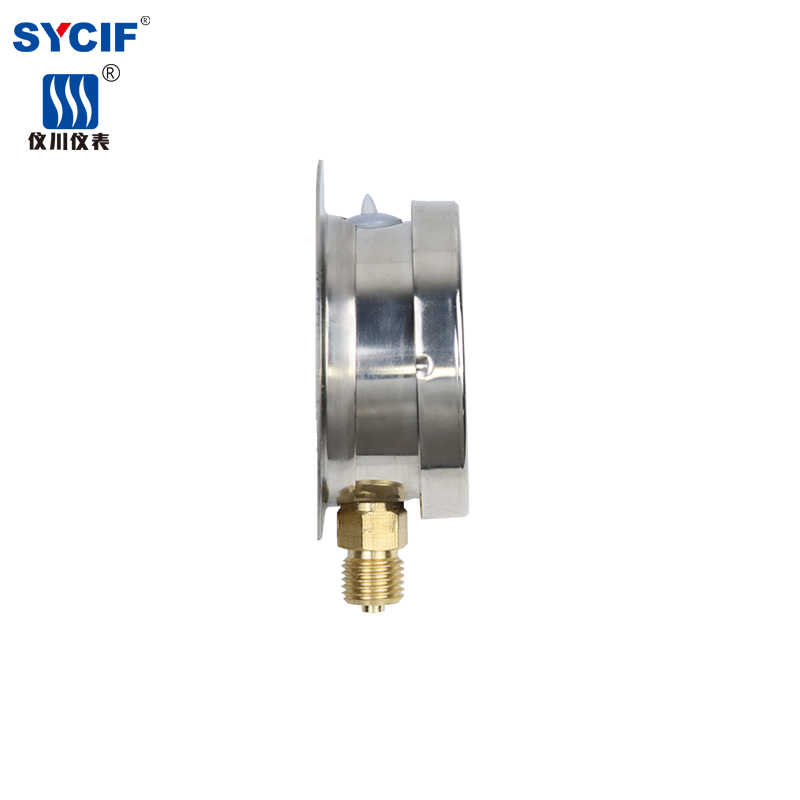 上海仪川船用耐震防震压力表凸装式 YN-100T 气压液压 径向带后边