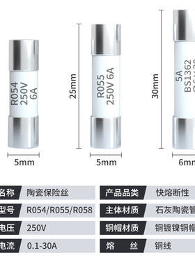 R054 R055  RO58管保险丝熔断丝陶瓷保险管5X20熔断器10A厂家直销
