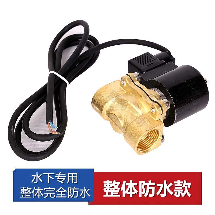 全铜常闭室外防水电磁阀220v24v4分6分1寸控制阀喷泉开关水阀气阀