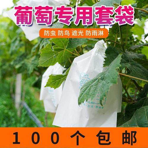 葡萄套袋专用袋防虫葡萄套育袋葡纸袋葡萄袋果袋袋子防水萄专用的